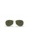 Ray-Ban RB3362 Cockpit XL (59 - 14) con lentes de color Verde y Oro, Gafas de sol de montura
