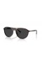 Ray-Ban RB2215 XL (56 - 20) con lentes Negros y la Tortuga Gafas de sol de montura