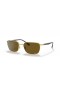 Ray-Ban RB3684CH Chromance XL (58 - 18) con lentes Marrones y Gafas de sol de montura de Oro