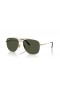 Ray-Ban RB8097 William Titanium XL (59 - 17) con lentes de color Verde y Oro, Gafas de sol de montura