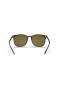 Ray-Ban RB4387F M (55 - 18) con lentes Marrones y la Tortuga Gafas de sol de montura