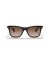 Ray-Ban RB4440N الحريق عابر سبيل L (0 - 141) مع البني العدسات السلحفاة نظارات الإطار