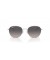 Ray-Ban RB3809 XL (55 - 20) مع العدسات الرمادية والفضية نظارات الإطار