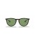 Ray-Ban RB4171 اريكا لون المزيج م (54 - 18) مع الأخضر العدسات السلحفاة نظارات الإطار