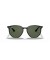 Ray-Ban RB4306F L (54 - 19) مع الأخضر العدسات و النظارات الشمسية الإطار الأسود