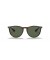 Ray-Ban RB4171 اريكا الكلاسيكية م (54 - 18) مع الأخضر العدسات السلحفاة نظارات الإطار