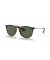 Ray-Ban RB4171 اريكا الكلاسيكية م (54 - 18) مع الأخضر العدسات السلحفاة نظارات الإطار