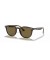 Ray-Ban RB4259F لتر (53 - 20) مع البني العدسات السلحفاة نظارات الإطار