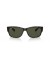 Ray-Ban RB4388 م (55 - 18) مع الأخضر العدسات السلحفاة نظارات الإطار