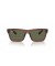 Ray-Ban RB4396 وارن الحيوي القائم م (54 - 20) مع الأخضر العدسات البني نظارات الإطار