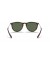Ray-Ban RB4171 اريكا الكلاسيكية م (54 - 18) مع الأخضر العدسات السلحفاة نظارات الإطار