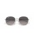 Ray-Ban RB3809 XL (55 - 20) مع العدسات الرمادية والفضية نظارات الإطار