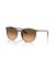 Ray-Ban RB2204 S (51 - 20) مع العدسات الوردي و البني نظارات الإطار