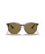 Ray-Ban RB4306 L (54 - 19) مع البني العدسات السلحفاة نظارات الإطار