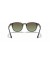 Ray-Ban RB4259 م (51 - 20) مع البني العدسات السلحفاة نظارات الإطار