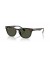 Ray-Ban RB4140 S (49 - 20) مع الأخضر العدسات السلحفاة نظارات الإطار