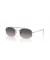 Ray-Ban RB3719 م (51 - 20) مع العدسات الرمادية والفضية نظارات الإطار