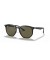 Ray-Ban RB4306 L (54 - 19) مع الأخضر العدسات و النظارات الشمسية الإطار الأسود