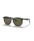 Ray-Ban RB4306F L (54 - 19) مع الأخضر العدسات و النظارات الشمسية الإطار الأسود