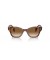 Ray-Ban RB0880S L (52 - 19) مع العدسات البني و البني نظارات الإطار