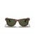 Ray-Ban RB4340 عابر سبيل سهولة م (50 - 22) مع الأخضر العدسات السلحفاة نظارات الإطار