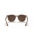 Ray-Ban RB4306 L (54 - 19) مع البني العدسات و النظارات الشمسية الإطار الأحمر