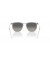 Ray-Ban RB4451 XXL (53 - 20) مع رمادي العدسات رمادي نظارات الإطار