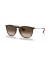Ray-Ban RB4171F اريكا الكلاسيكية م (54 - 18) مع البني العدسات السلحفاة نظارات الإطار