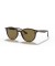 Ray-Ban RB4305 م (53 - 19) مع البني العدسات السلحفاة نظارات الإطار