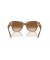 Ray-Ban RB2186 الدولة شارع M (49 - 20) مع البني العدسات السلحفاة نظارات الإطار