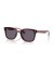 Ray-Ban RB4461D L (64 - 17) مع البنفسجي العدسات البني نظارات الإطار