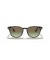 Ray-Ban RB4259 م (51 - 20) مع البني العدسات السلحفاة نظارات الإطار
