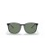 Ray-Ban RB4387F م (55 - 18) مع الأخضر العدسات و النظارات الشمسية الإطار الأسود