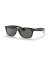 Ray-Ban RB2132F جديد عابر سبيل الكلاسيكية XL (58 - 18) مع الأخضر العدسات و النظارات الشمسية الإطار الأسود