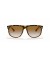 Ray-Ban RB4147 صديق ل (60 - 15) مع البني العدسات السلحفاة نظارات الإطار
