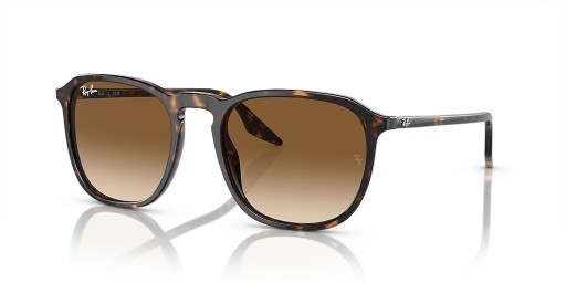 Ray-Ban RB2203 م (52 - 20) مع البني العدسات السلحفاة نظارات الإطار