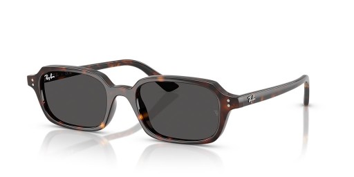 Ray-Ban RB4455 زوري الحيوي القائم ق (49 - 19) مع العدسات الرمادية و السلحفاة نظارات الإطار