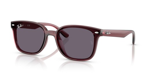 Ray-Ban RB4461D L (64 - 17) مع البنفسجي العدسات البني نظارات الإطار