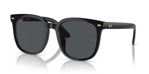 Ray-Ban RB4401D عام التنين Edition XXL (57 - 20) مع العدسات الرمادية و السوداء نظارات الإطار