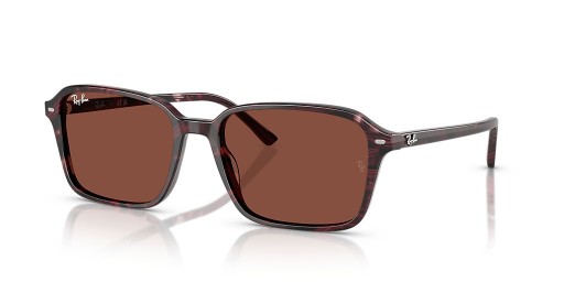 Ray-Ban RB2231 Raimond L (56 - 18) مع الأحمر العدسات و البنفسجي نظارات الإطار