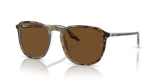 Ray-Ban RB2203 L (55 - 20) med Brune linser og Tortoise frame Solbriller