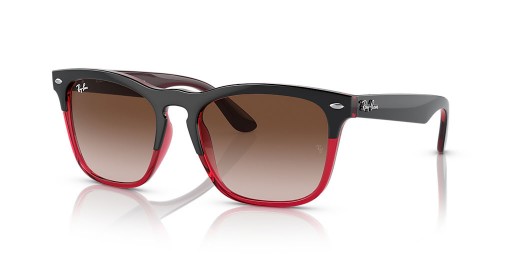 Ray-Ban RB4487 Steve M (54 - 18), med Brune linser og Flerfarvede rammen Solbriller