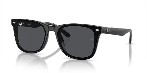 Ray-Ban RB4420 XL (65 - 18) med Grå linser og Sort ramme Solbriller