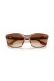 Ray-Ban RB2389 Balorette M (57 - 19) med Brune linser og Tortoise frame Solbriller