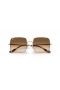 Ray-Ban RB1971 Pladsen 1971 Classic L (54 - 19) med Brune linser og Guld ramme Solbriller