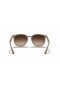 Ray-Ban RB4306 L (54 - 19) med Brune linser og Beige ramme Solbriller