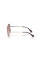 Ray-Ban RB1971 Pladsen 1971 Chromance L (54 - 19) med Røde linser og Pink ramme Solbriller