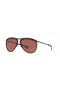 Ray-Ban RB2219 Olympian Aviator M (59 - 13) med Violet glas og Sort ramme Solbriller