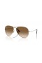 Ray-Ban RB8089 Aviator Titanium XXL (62 - 14) med Brune linser og Guld ramme Solbriller