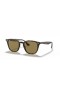 Ray-Ban RB4258 M (50 - 20) med Brune linser og Tortoise frame Solbriller